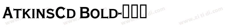 AtkinsCd Bold字体转换